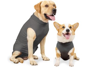 HEYWEAN Medisch Hondenshirt - Wondbescherming na operatie - Grijs - Maat XL