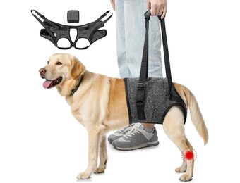 SlowTon Steuntuigje voor achterpoten, harnas voor middelgrote honden, comfortabel, verstelbaar hefharnas voor ouderen, gewonden, artritische, gehandicapte honden, revalidatie - Maat M (taille 48-58 cm)