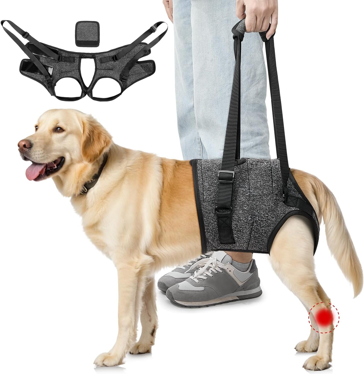 SlowTon Steuntuigje voor achterpoten, harnas voor middelgrote honden, comfortabel, verstelbaar hefharnas voor ouderen, gewonden, artritische, gehandicapte honden, revalidatie - Maat M (taille 48-58 cm)