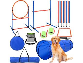 Agility-uitrustingsset voor honden Agility-set met hondentunnel van 170 cm, hindernissen met hondentunnel, 8 slalomstokken, verstelbare hoogte, perfect voor het park, de tuin en asfalt