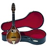 Gewa Miniature Mandolin