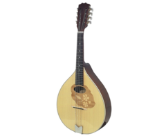 Gewa Flat Mandola Port Shape