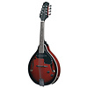 Gewa Tenson A 1E Folk Mandolin