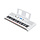EZ-300 Digital Keyboard White
