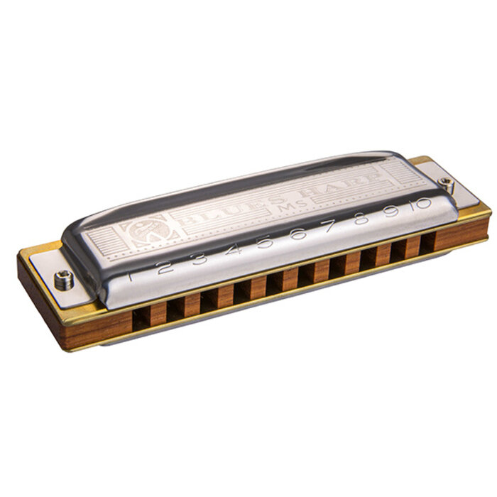 Hohner Blues Harp D