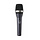 D5S Microphone