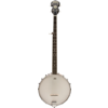 Washburn B7 5 String Banjo Open Back