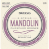 D'Addario EJ70 Ball End Mandolin Strings Phosphor Bronze