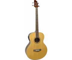 Woodstock Woodstock Electro Acoustic Bass