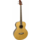 Woodstock Electro Acoustic Bass