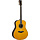 Transacoustic Guitar LL TA Vintage Tint