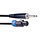 2M-1,5/6FT 16GA Speaker Cable