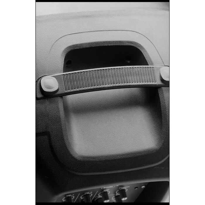 Stagg 12" Active Speaker USB And Bluetooth