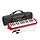 Melodica 32 Keys W/ Bag Red