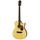 101CE MTN Acoustic Cutaway Electro Acoustic Matte Nat