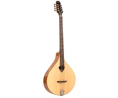 Gold Tone BZ-500 Irish Bouzouki Mandolin+Case
