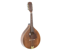 Gewa Mandola Pro Arte