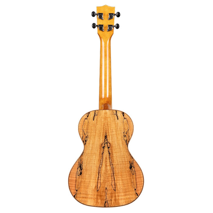 Kala KA-FMTG Tenor Mahogany Binding