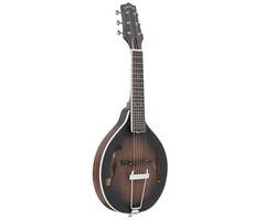 Gold Tone A-6 Mandolin Gt A Shape+Bag