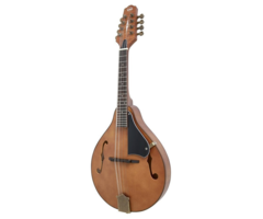 Tennessee A Mandolin Antique Limited Edition