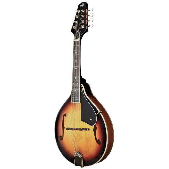 Tennessee Mandolin A2 F-Hole with Case