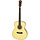 209N Acoustic Guitar Natural Solid Mango Back and Sides