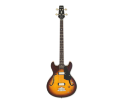 Aria PRO 2 TAB Classic Bass Sunburst Effect
