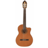 Santos Martinez Allegro Electro C/A Fusion Classic