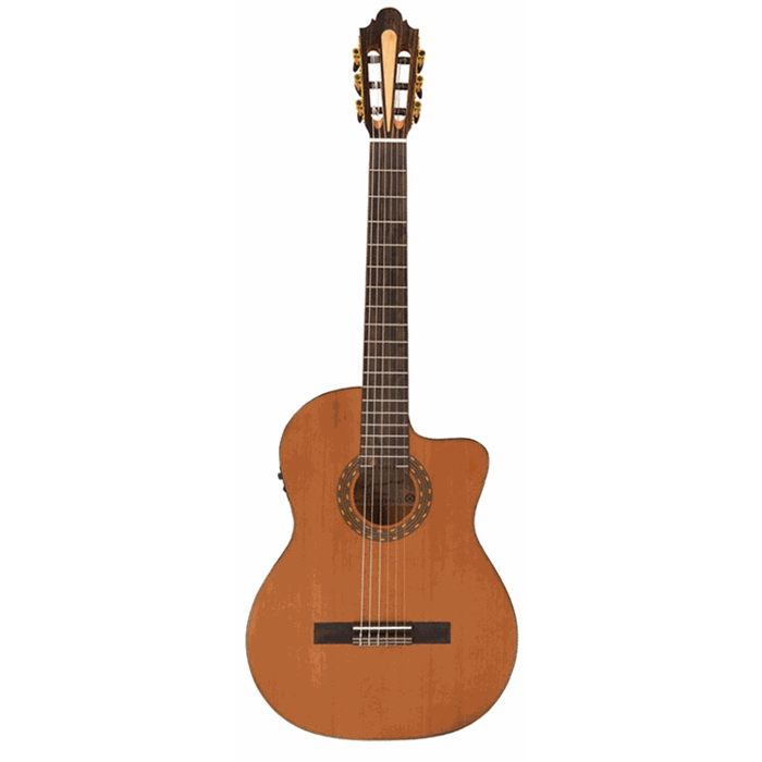 Santos Martinez Allegro Electro C/A Fusion Classic