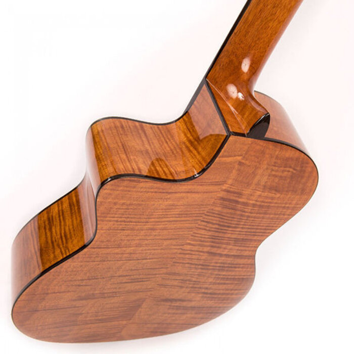 Santos Martinez Allegro Electro C/A Fusion Classic