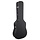Case Wood Acoustic 6 String / 12 String