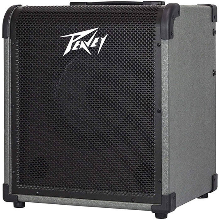 Peavey Max 100 Bass Combo