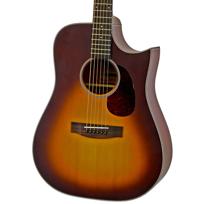 Aria Acoustic Cutaway/Electric MTTS