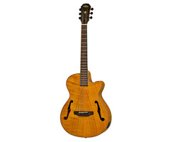 Aria Elecord Aco-Elec Guitar, Flamed Nato Stained Brown