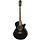Fet Elite Elecord Electric Acoustic Guitar Black Shade