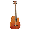 Gold Tone M-BASS25 Electro Acoustic Micro Bass W/ Bag