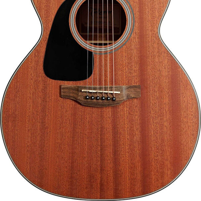 Takamine New Yorker/Acoustic Guitar Left Handed