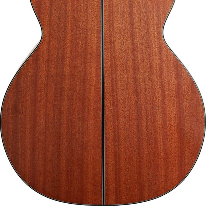 Takamine New Yorker/Acoustic Guitar Left Handed