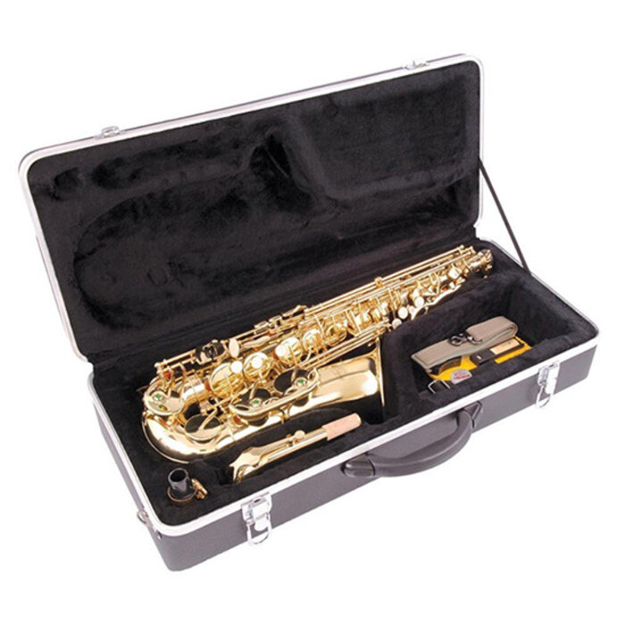 Odyssey OAS130 Debut Alto Sax CW Case