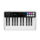 Keys IO 25 Midi Controller