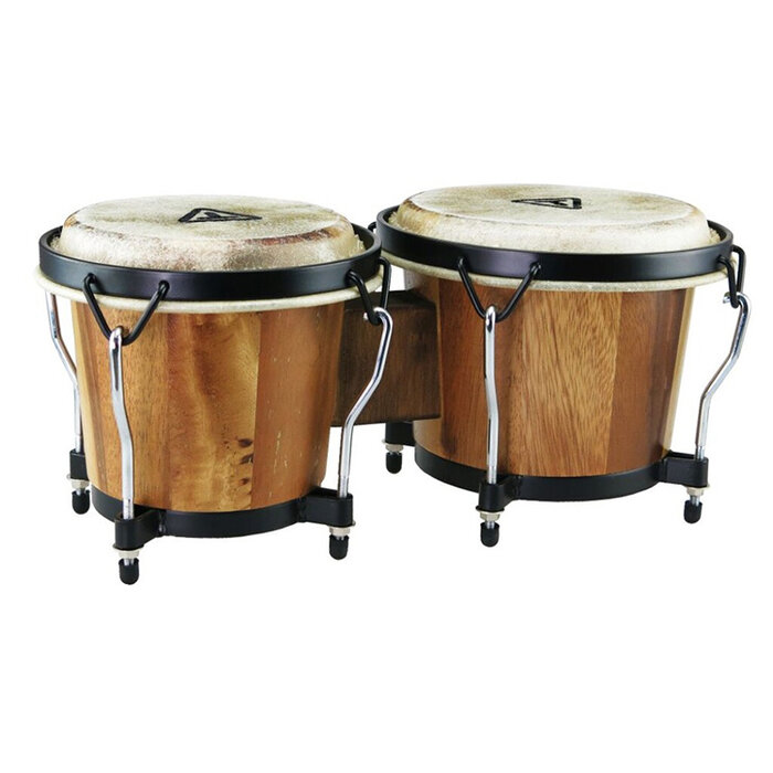 Tycoon Ritmo Bongos - Jamjuree