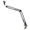Citronic SMS001 Small Studio Swivel Mic Boom Arm