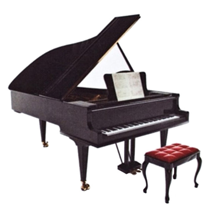 Vienna World VWP0568 Magnet Piano