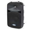 Samson Auro D210 PA Speaker
