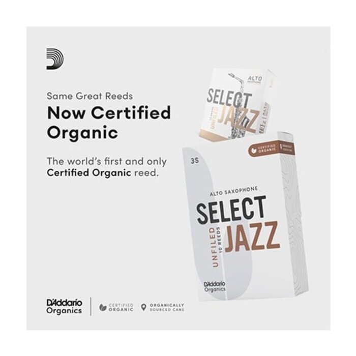 D'Addario Rico Select Jazz Alto Sax Reeds 2
