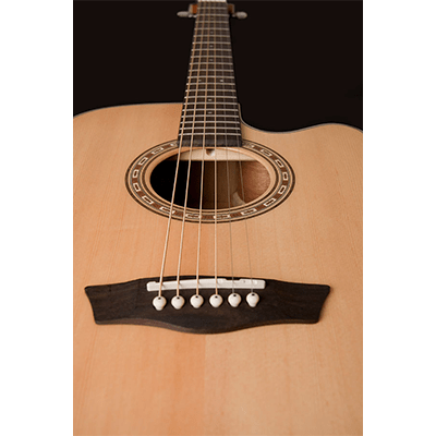 Washburn WD7SCEN Harvest Series Acoustic Electric Guitar