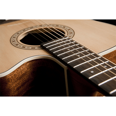 Washburn WD7SCEN Harvest Series Acoustic Electric Guitar
