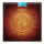 NBM1038 Mandolin Strings