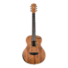 Washburn WCGM55K Mini Comfort Series