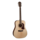 D10S Heritage 10 Series Acoustic Guitar